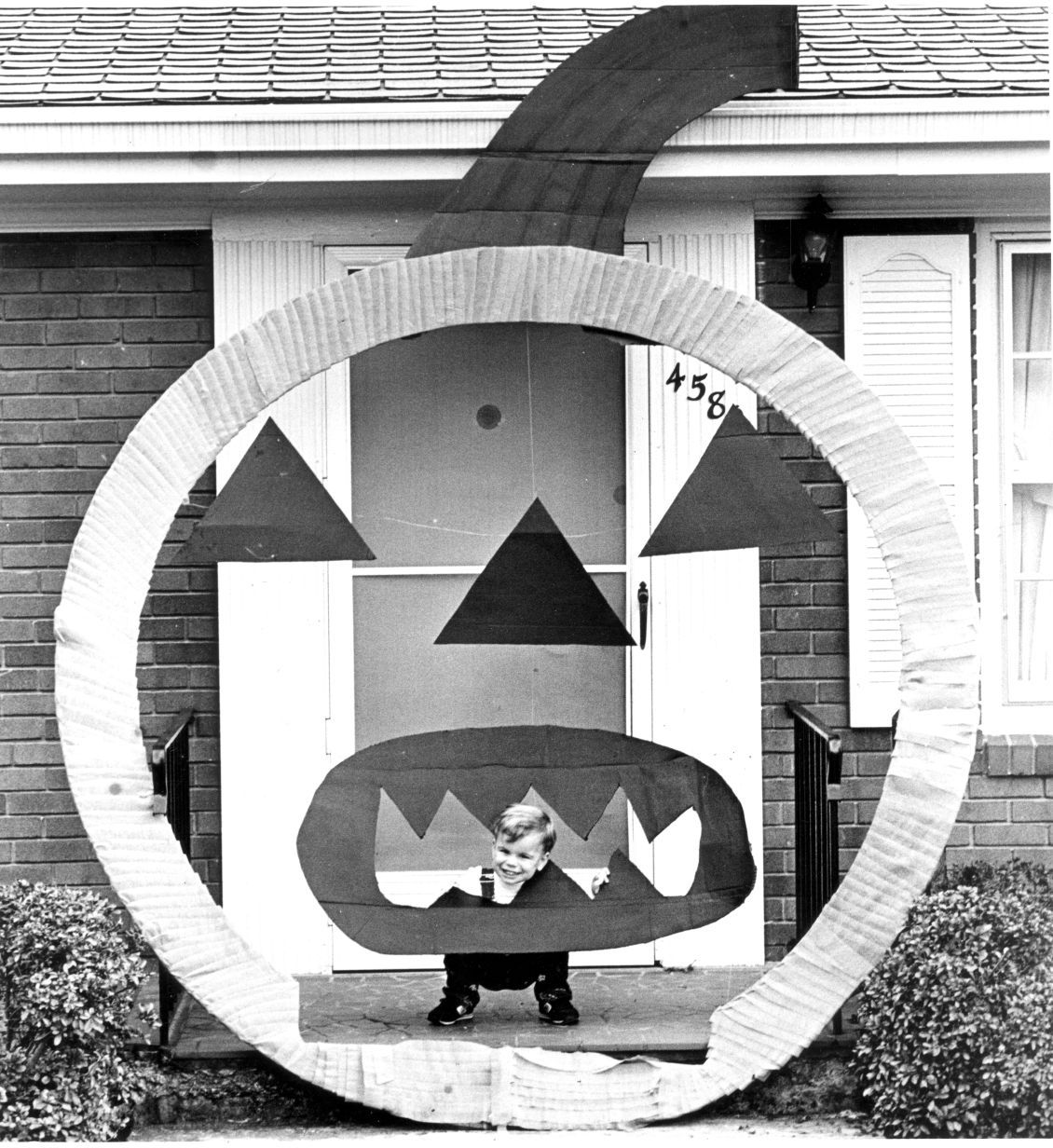 pumpkin house 103086